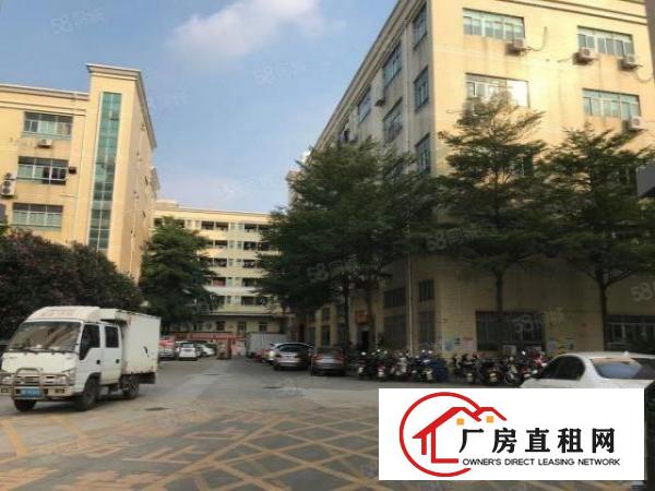  石岩新出原房东楼上650平，面积实在，租金便宜