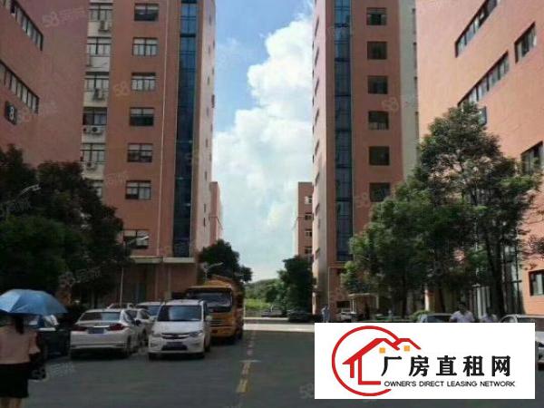  石岩北环路原房东零公摊整层2053平米标准厂房出租
