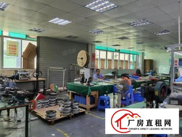  石岩新出原房东楼上精装修650平方厂房出租，水电齐全拎包入住