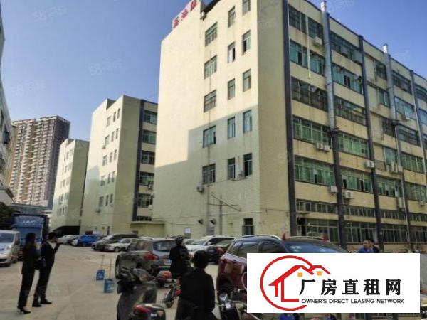  石岩新出原房东楼上精装修650平方厂房出租，水电齐全拎包入住