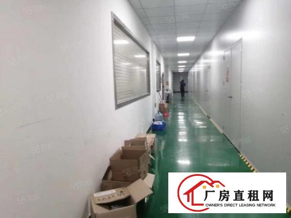  宝安石岩料坑新出1200平原房东精装修厂房无转让费