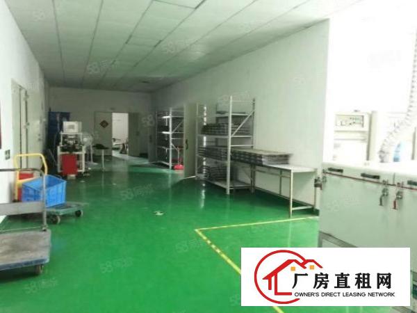  宝安石岩料坑新出1200平原房东精装修厂房无转让费