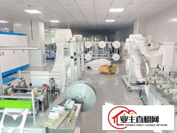  石龙仔大型工业区1380平，实际面积1230平，豪华装修