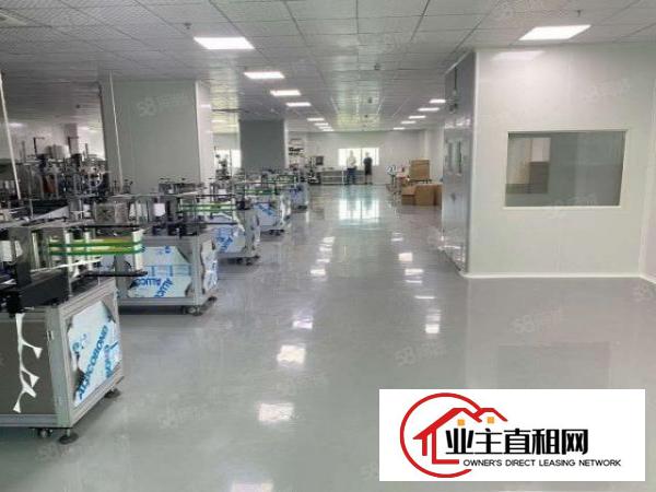  石龙仔大型工业区1380平，实际面积1230平，豪华装修
