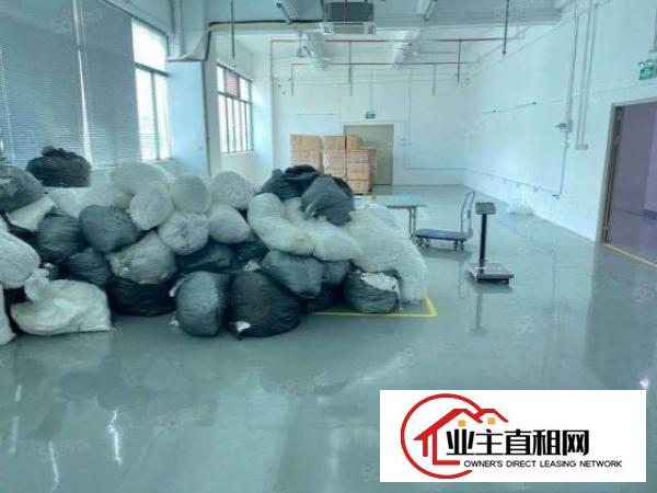  石龙仔大型工业区1380平，实际面积1230平，豪华装修