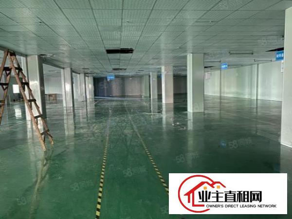  出租|石岩主干道旁新出楼上3000平方洁净车间可分租