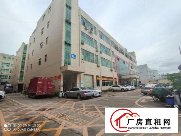  （一手房东）石岩龙大高速旁一楼1100平厂房0公摊出租