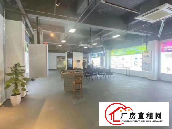  石岩应人石原房东2600平米，单层面积650平，可单层租