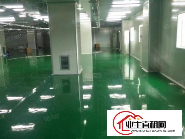 石岩新出楼上1460平万级无尘车间
