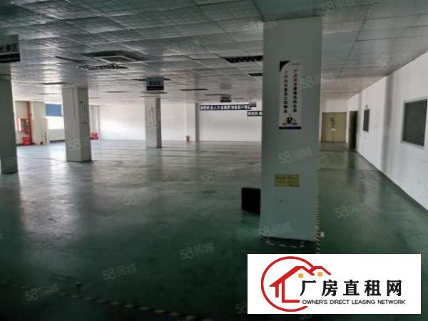  急租石岩塘头厂房楼上700平，带简单装修价格便宜好招工