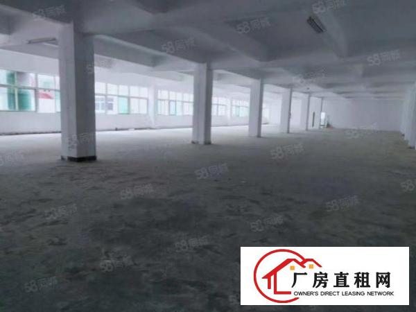  宝安石岩外环路一楼厂房出租2700平带行车和牛角面积可分