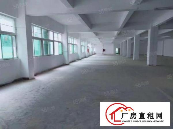  宝安石岩外环路一楼厂房出租2700平带行车和牛角面积可分