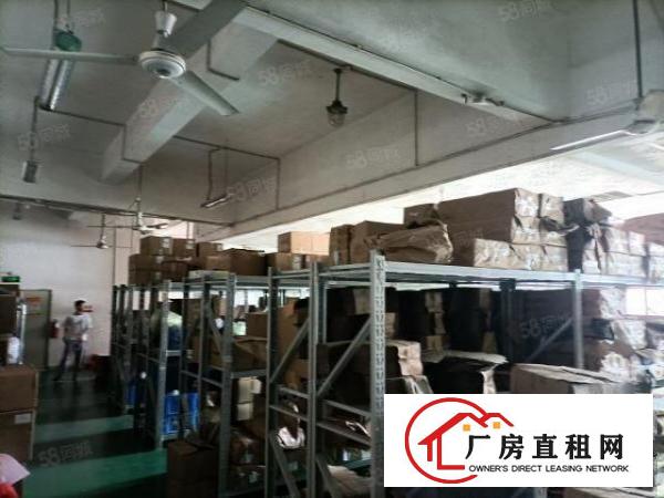  塘头应人石新出长条户型适合电子行业