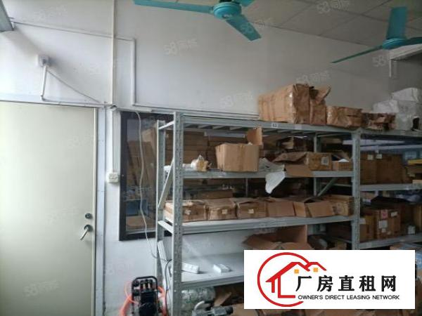  塘头应人石新出长条户型适合电子行业