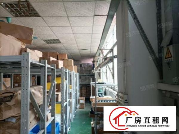  塘头应人石新出长条户型适合电子行业