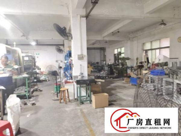  石岩三祝里自用无公摊1楼480平30元简装修出租