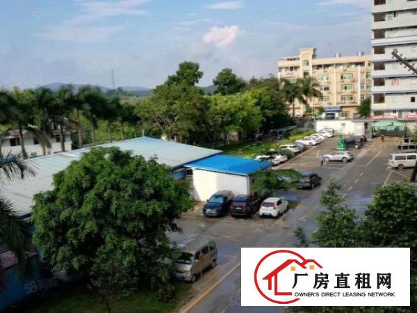 业主直租厂房720平带装修，无尘车间