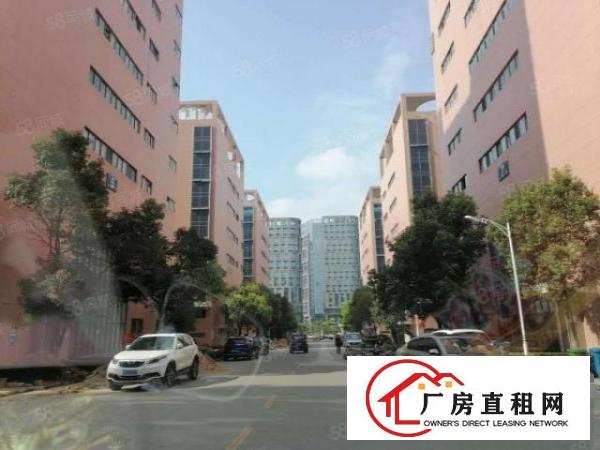  石岩塘头科技园新出楼上整层带装修2505平方厂房出租，带喷淋