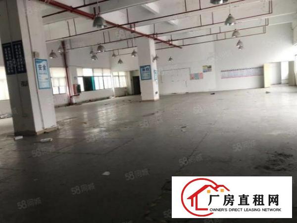  石岩塘头科技园新出楼上整层带装修2505平方厂房出租，带喷淋