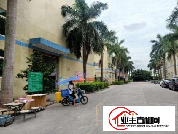  宝安石岩塘头第三工业园新出原房东红本厂房出租整层2000平