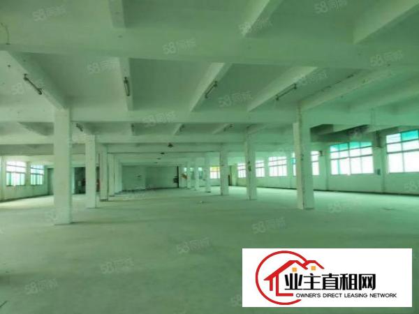  宝安石岩塘头第三工业园新出原房东红本厂房出租整层2000平