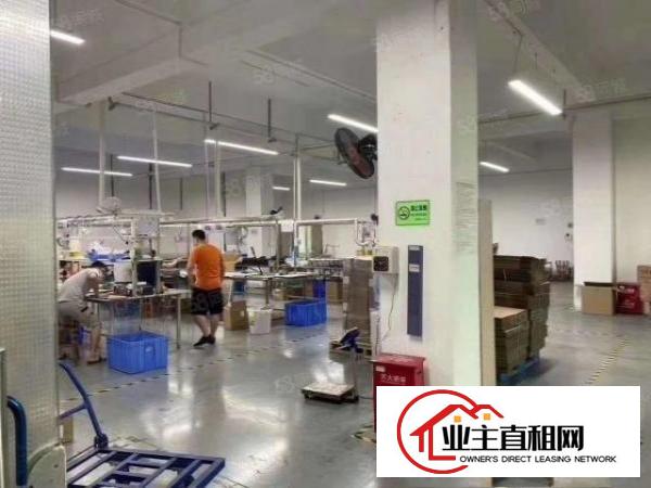  宝然油站原房东招租3楼1300平，带装修，无公摊