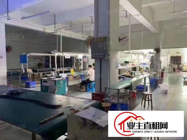  宝然油站原房东招租3楼1300平，带装修，无公摊
