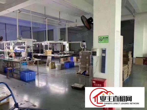  宝然油站原房东招租3楼1300平，带装修，无公摊