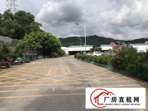  石岩机塘头荷高速出口2楼300平精装修不要转让费