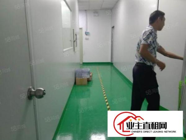  石岩同富裕工业新出小户型250平，精装无转让费