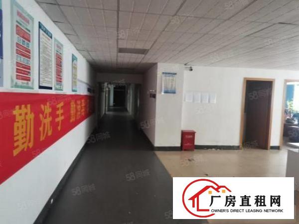  石岩物流园旁2楼一整层650平，精装修，无转让费