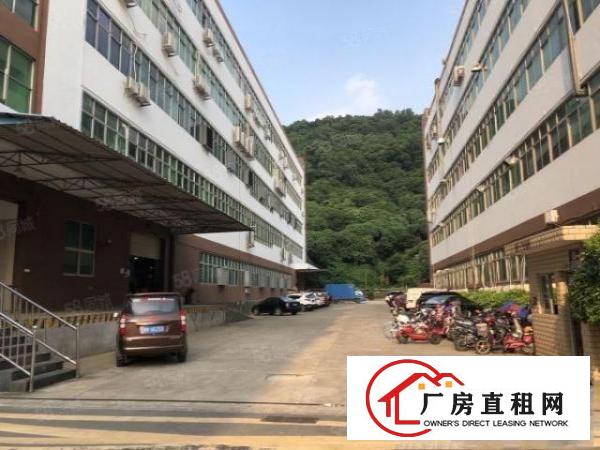  石岩镇原房东，楼上一整层实际面积出租1600平方厂房出租