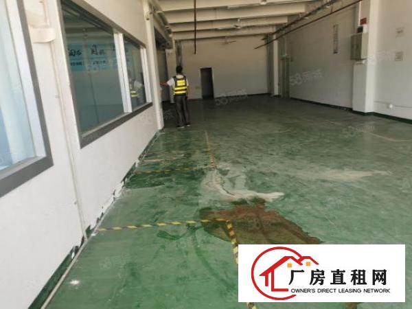  石岩原房东整栋6000平米厂房出租