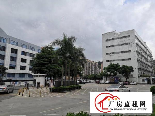  石岩应人石高新产业园3楼上700平，卸货平台，建筑面积出租