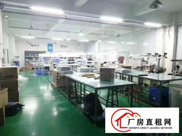  石岩新出楼上2000平带装修的厂房出租