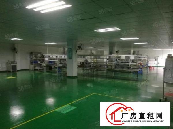  石岩应人石松白路边新出厂房450平，精装修，面积实在