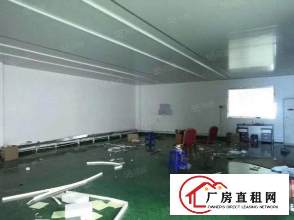  石岩松白路独门独院3920平米，单层980平米厂房出租