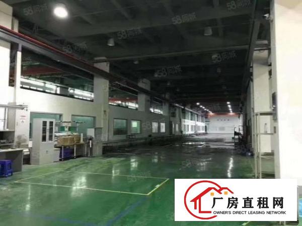  石岩新出1楼和2楼共9000平厂房出租，层高7.5米