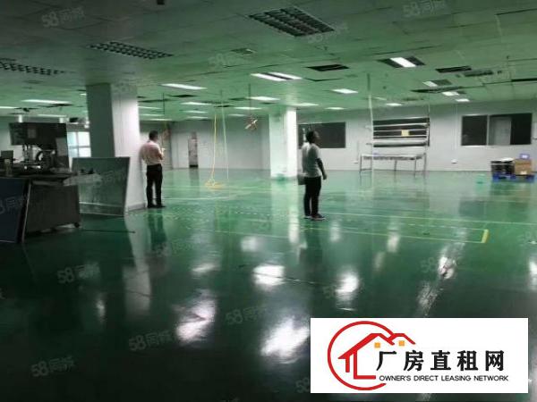  石岩新出1楼和2楼共9000平厂房出租，层高7.5米