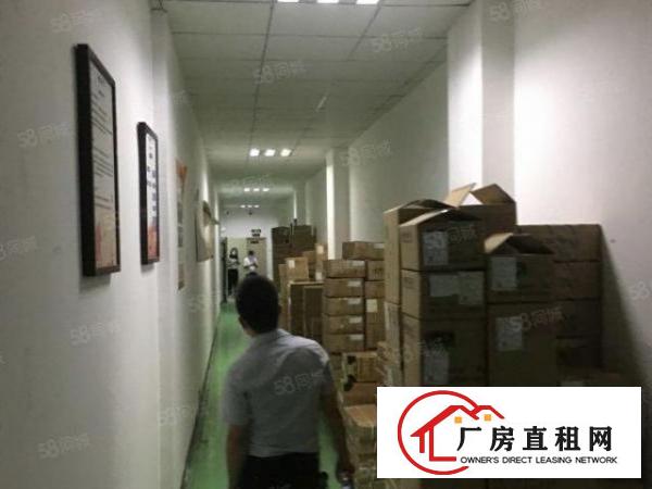  石岩塘头新出3215平精装修厂房出租，无转让费
