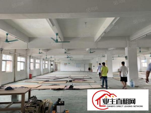  石岩塘头工业园仓库厂房出租5万平方一楼厂房招租200平起租