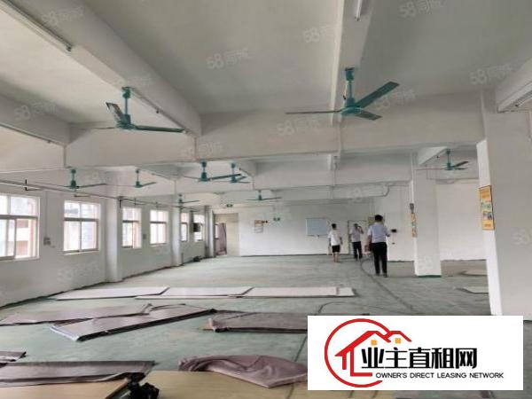  石岩塘头工业园仓库厂房出租5万平方一楼厂房招租200平起租