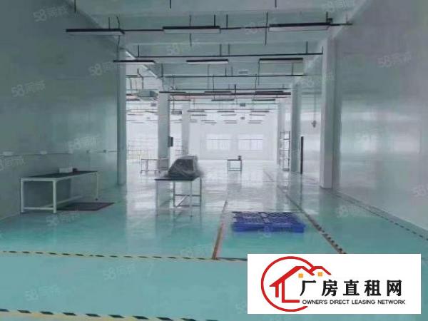  石岩汽车站上排悦群路红本独院8000平厂房仓库出租可分租。。