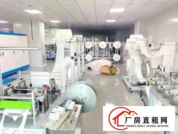  石岩原房东1382平方精装修厂房出租红本产业园厂房分租
