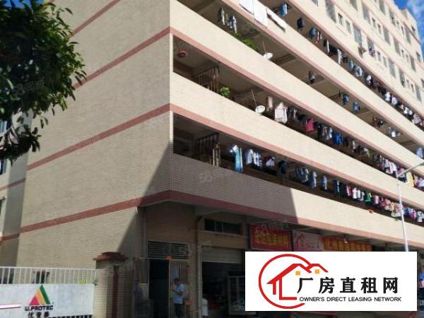 石岩汽车站新出精装修厂房460平方23元每平方不用转让费
