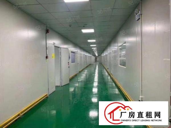  石岩新出3000平无尘车间，不要转让费厂房出租