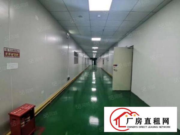  石岩新出3000平无尘车间，不要转让费厂房出租