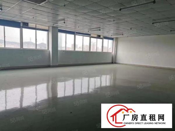  石岩新出3000平无尘车间，不要转让费厂房出租