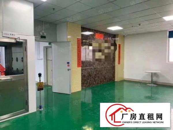  石岩新出3000平无尘车间，不要转让费厂房出租