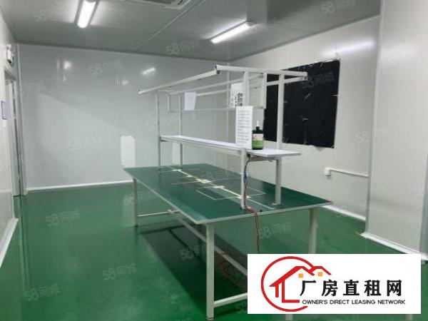  石岩水田第四工业区新出楼上252平，豪华装修无转让费